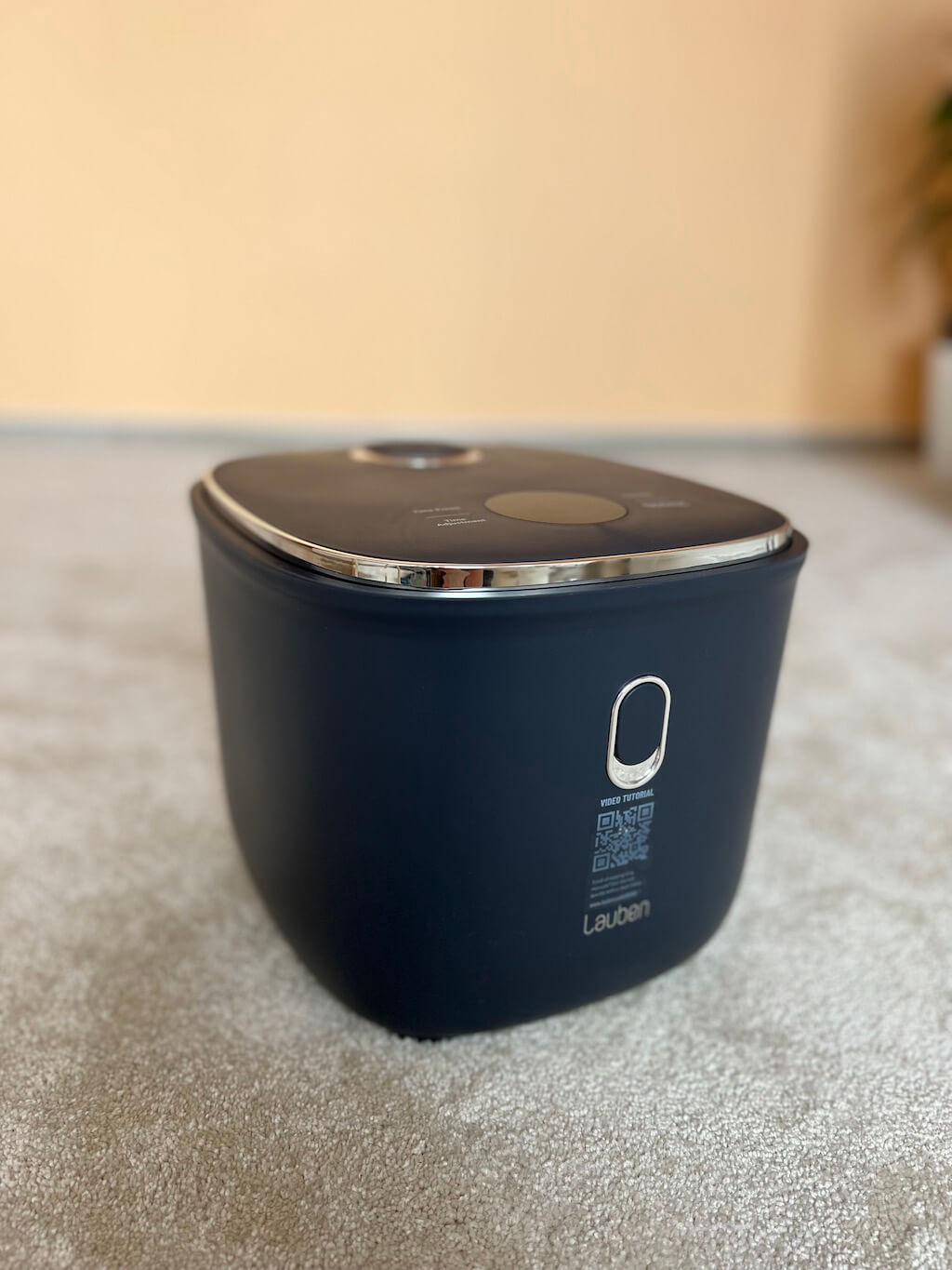 Recenze rýžovaru Lauben Low Sugar Rice Cooker 3000AT