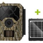OXE Fotopast HORNET 4G a solární panel + SIM karta