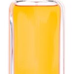 KARL LAGERFELD Classic EdT 100 ml